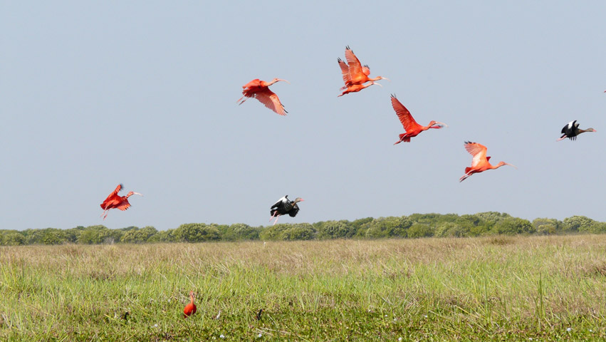 Voyage au Venezuela de Marie Claude et Ange
