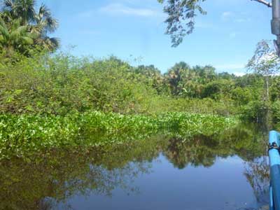 Voyage au Venezuela de Marina et Pascal