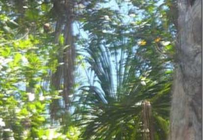 Voyage au Venezuela de Marina et Pascal