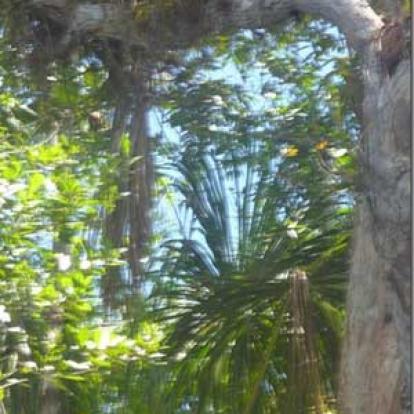 Voyage au Venezuela de Marina et Pascal