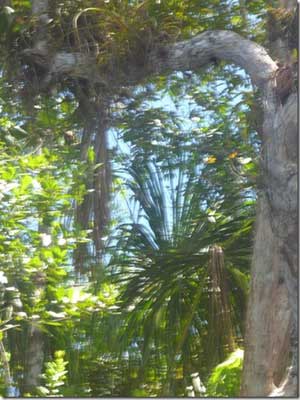 Voyage au Venezuela de Marina et Pascal