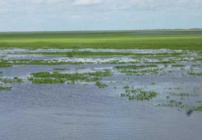 Voyage au Venezuela de Marina et Pascal