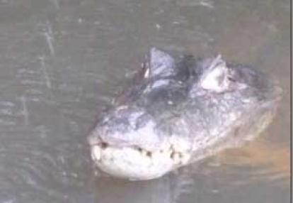 Voyage au Venezuela de Marina et Pascal