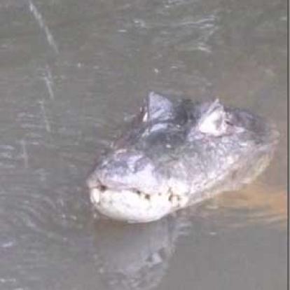 Voyage au Venezuela de Marina et Pascal