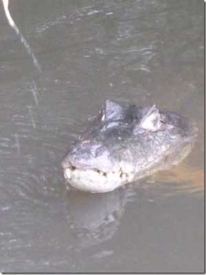 Voyage au Venezuela de Marina et Pascal