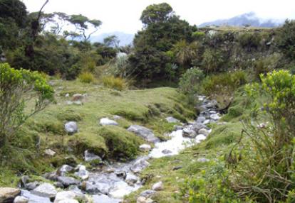 Voyage au Venezuela de Céline