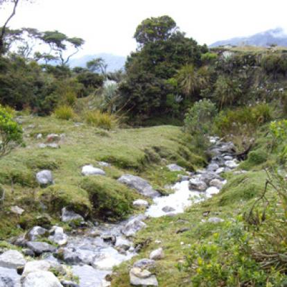 Voyage au Venezuela de Céline
