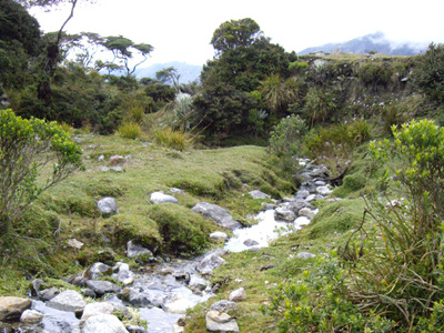 Voyage au Venezuela de Céline