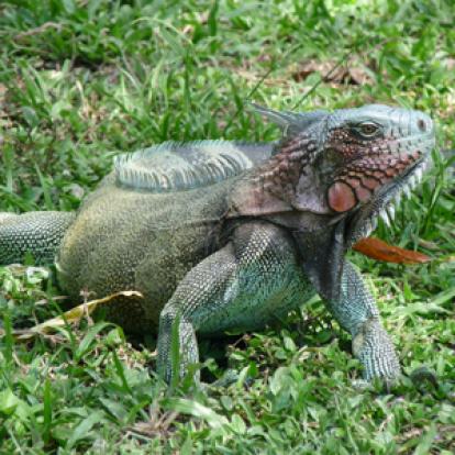 Voyage au Venezuela de Céline