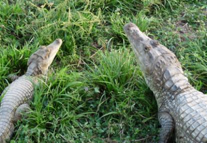 Voyage au Venezuela de Céline