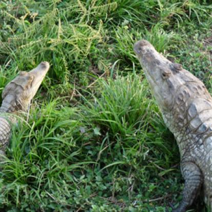 Voyage au Venezuela de Céline