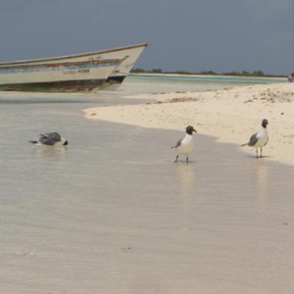 Voyage au Venezuela de Patricia