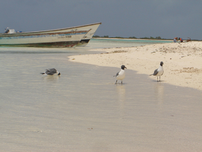 Voyage au Venezuela de Patricia