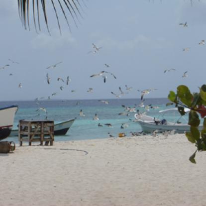 ©Patricia M. - Tous Droits réservés