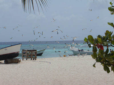 ©Patricia M. - Tous Droits réservés