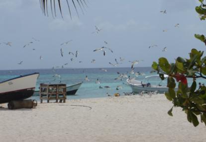 Voyage au Venezuela de Patricia