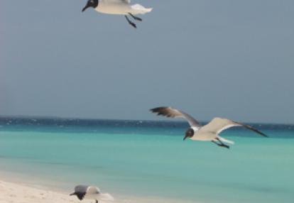 Voyage au Venezuela de Patricia