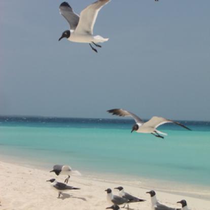 Voyage au Venezuela de Patricia