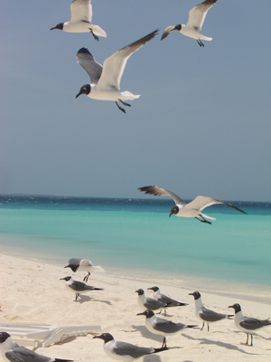 Voyage au Venezuela de Patricia