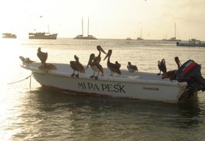 Voyage au Venezuela de Patricia