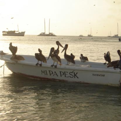 Voyage au Venezuela de Patricia