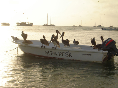 Voyage au Venezuela de Patricia