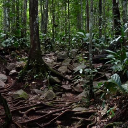 Voyage au Venezuela de Gaëlle
