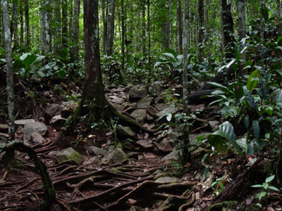 Voyage au Venezuela de Gaëlle