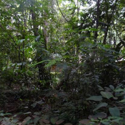 Voyage au Venezuela de Gaëlle