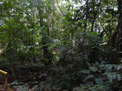 Voyage au Venezuela de Gaëlle