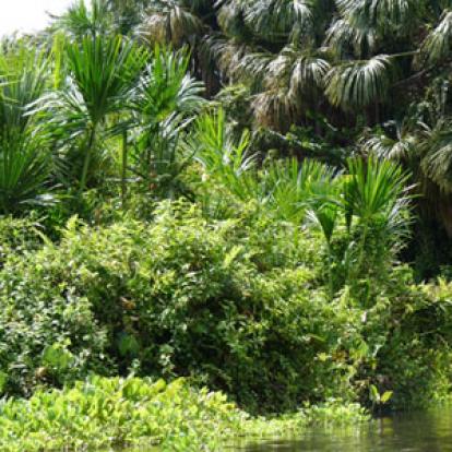 Voyage au Venezuela de Gaëlle