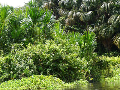 Voyage au Venezuela de Gaëlle