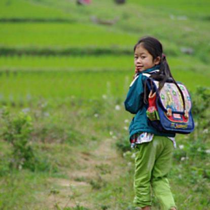 ©Vincent F. - Tous Droits réservés