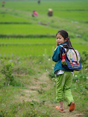 ©Vincent F. - Tous Droits réservés