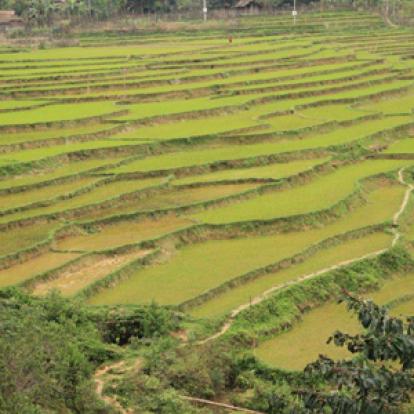 ©Vincent F. - Tous Droits réservés