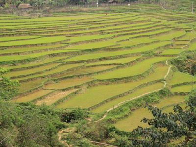 ©Vincent F. - Tous Droits réservés