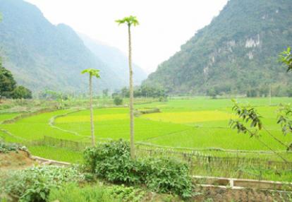 ©Vincent F. - Tous Droits réservés