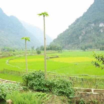 ©Vincent F. - Tous Droits réservés