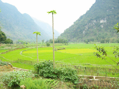 ©Vincent F. - Tous Droits réservés