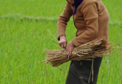 ©Vincent F. - Tous Droits réservés