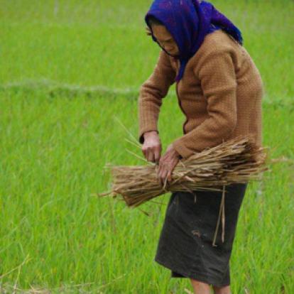 ©Vincent F. - Tous Droits réservés