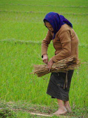 ©Vincent F. - Tous Droits réservés