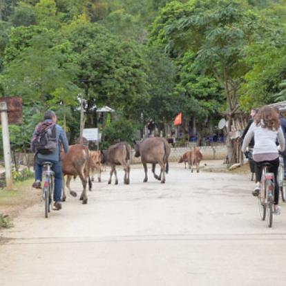 Voyage au Vietnam de la Famille de Valérie