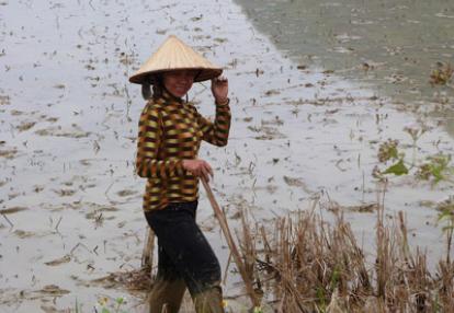 Voyage au Vietnam de la Famille de Valérie