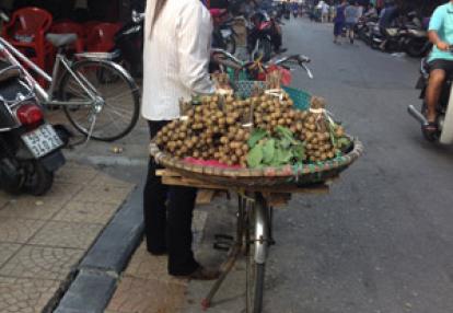 Voyage au Vietnam d'Edivanda