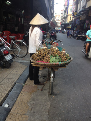 Voyage au Vietnam d'Edivanda