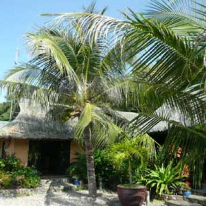 ©Hervé D. - Tous Droits Réservés ©Hervé D. - Tous Droits réservés