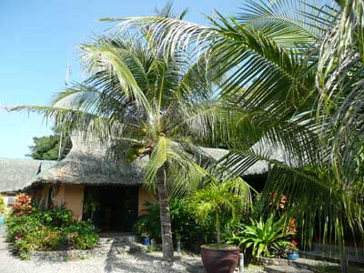 ©Hervé D. - Tous Droits réservés ©Hervé D. - Tous Droits réservés