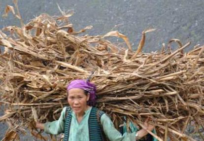 Voyage au Vietnam d'Isabelle