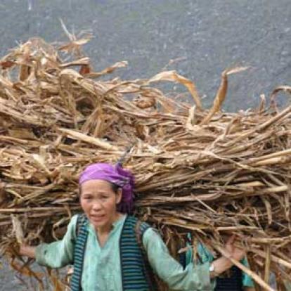 Voyage au Vietnam d'Isabelle